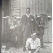 2 Ochsen, 1 Flasche . . .