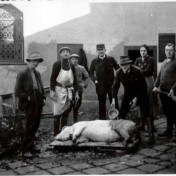 Hausschlachtung am Jugendheim