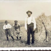 Getreideernte. Aufstellung der Garben