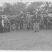 Erntedankwagen Auf dem Platz