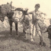 Nöthen, ca. 1952. Alfred Schick, Gastkind