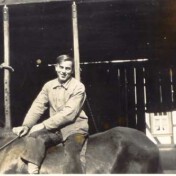 ? auf dem Pferd
