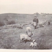 Willibrord Bützler bei seiner Herde