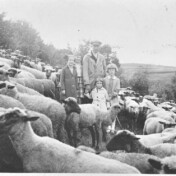 Willibrord Bützler mit Kindern bei seiner Herde