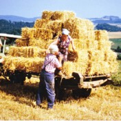 Strohernte, im Hintergrund Nöthen