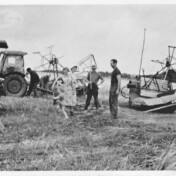 Letzter Binder-/Ernteeinsatz auf dem Feld. Danach kam der Mähdrescher.