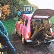 Hubi's Krippenwurzel . . . .